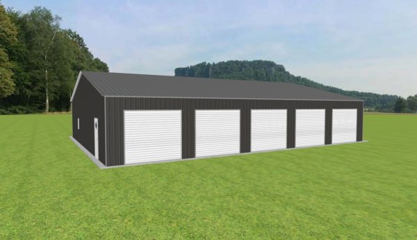 5 Car Garage 46 x 60 x 10